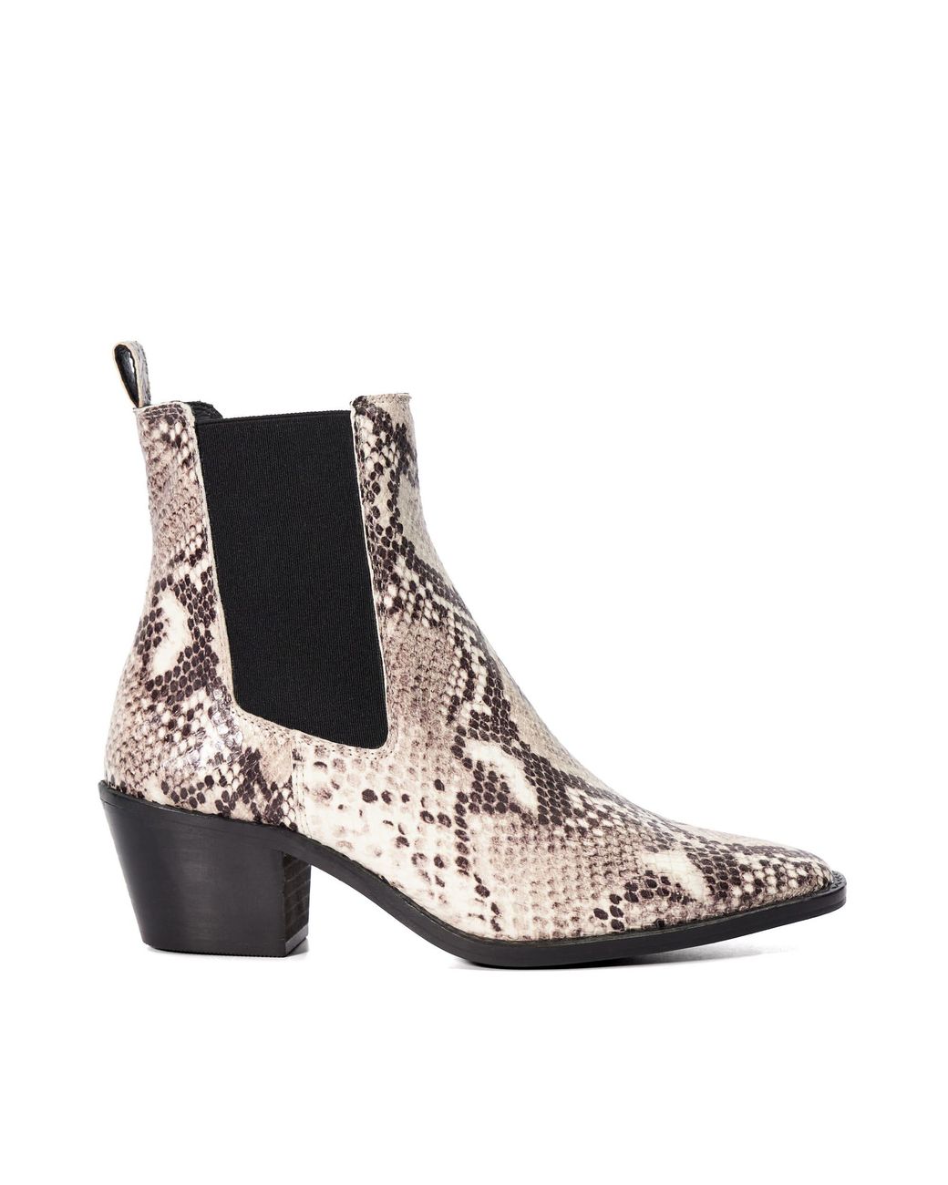 Dune Brown Ladies Pexas