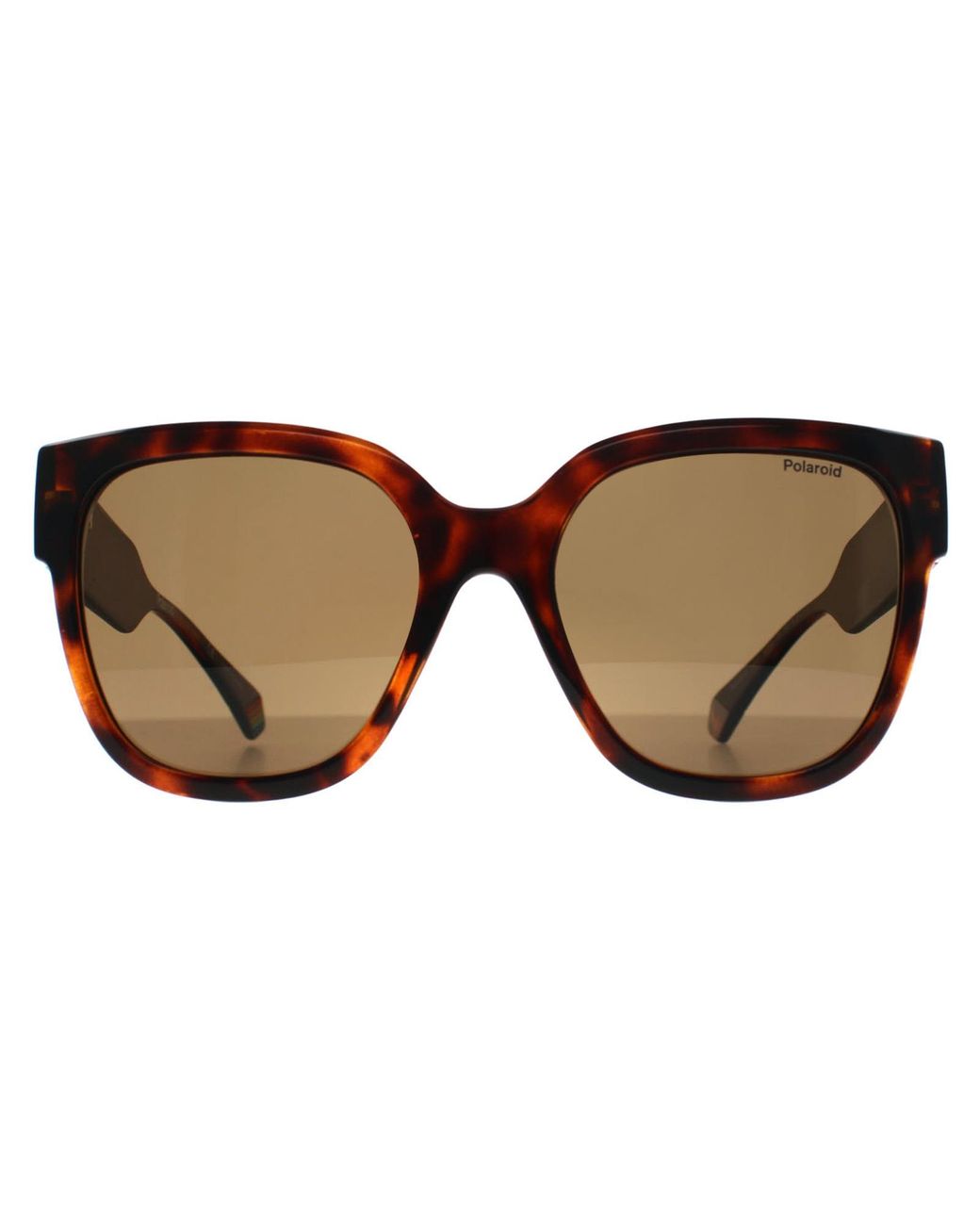 Polaroid Brown Square Havana Bronze Polarized Pld 6167/S