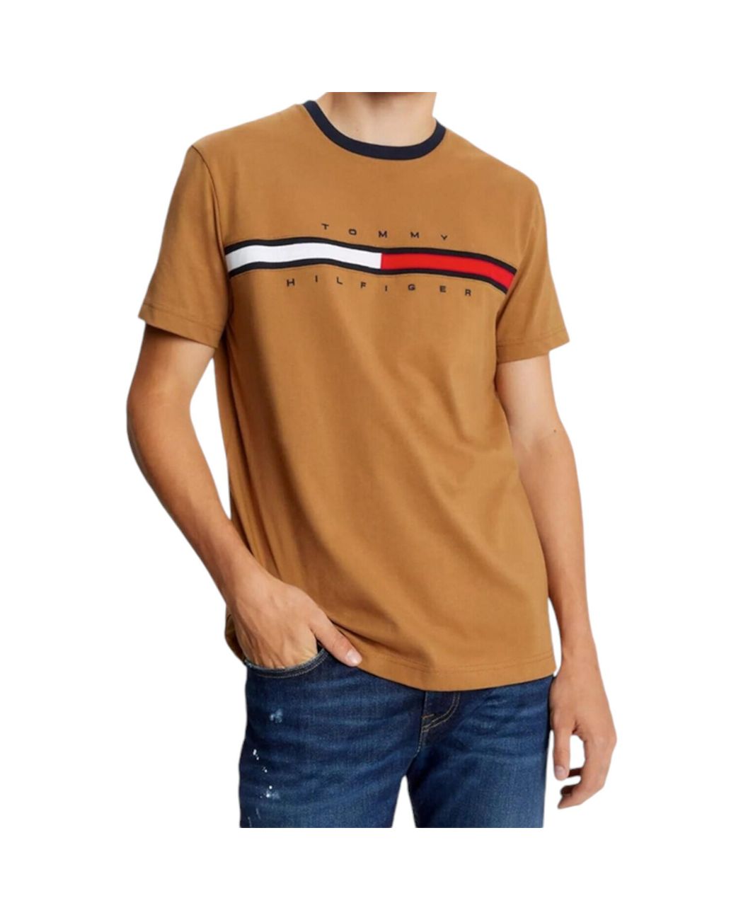 Tommy Hilfiger Blue T Shirts Signature Stripe Tee for men