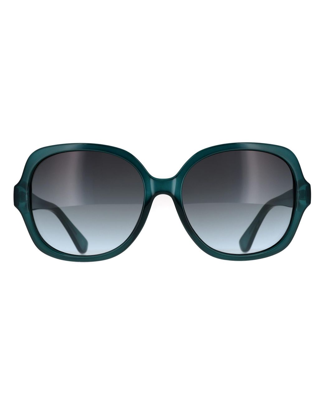 Calvin Klein Blue Butterfly Gradient Ck19538Sn