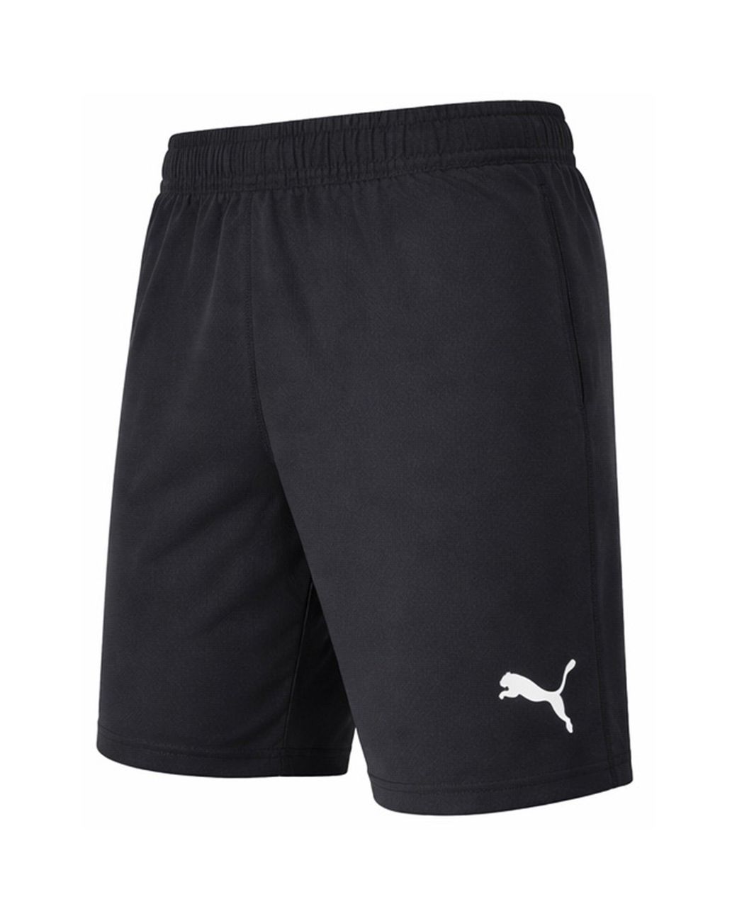 PUMA Blue Teamfinal Drycell Shorts for men