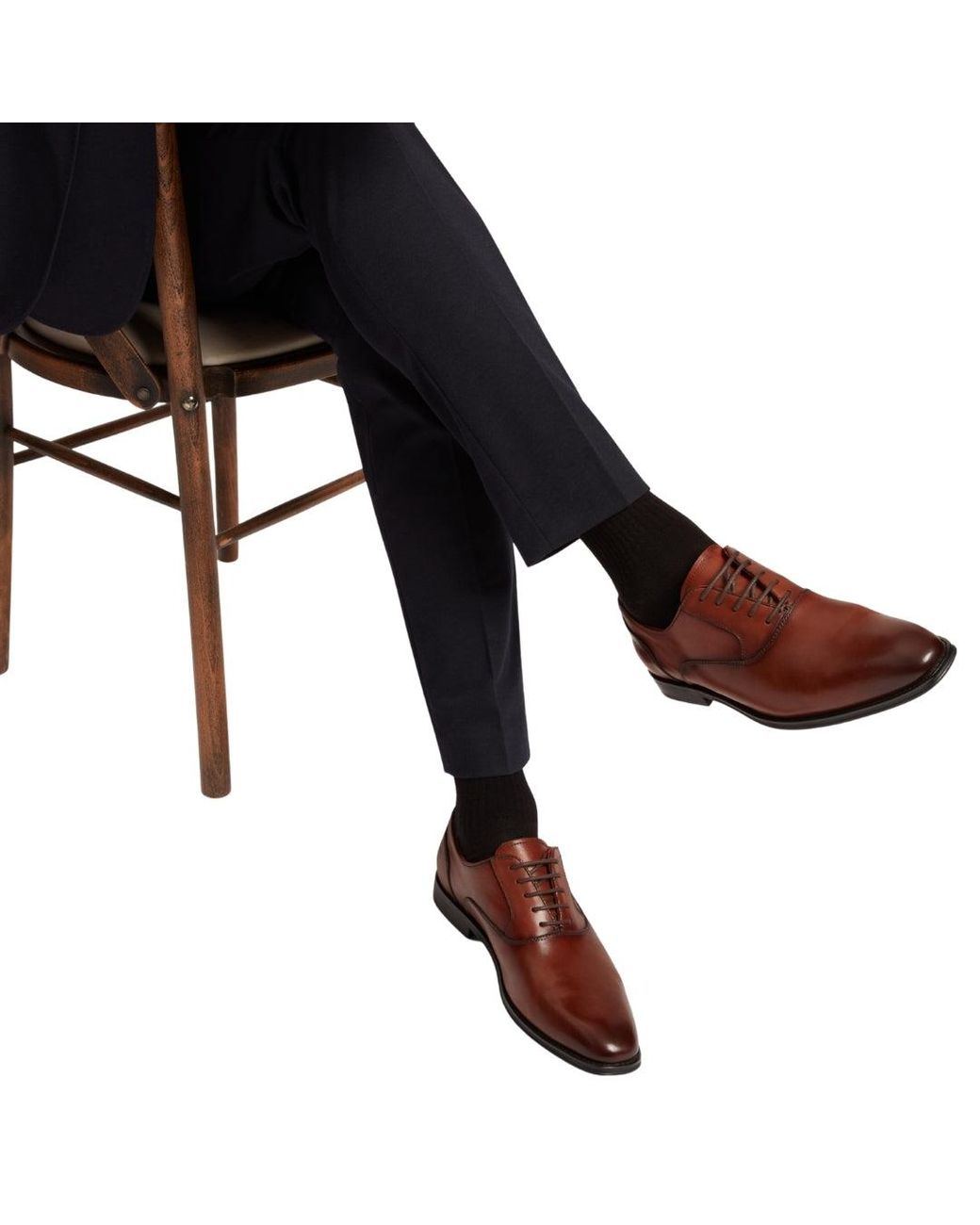 Ted Baker Brown Wylden Brogue Tan Shoes for men