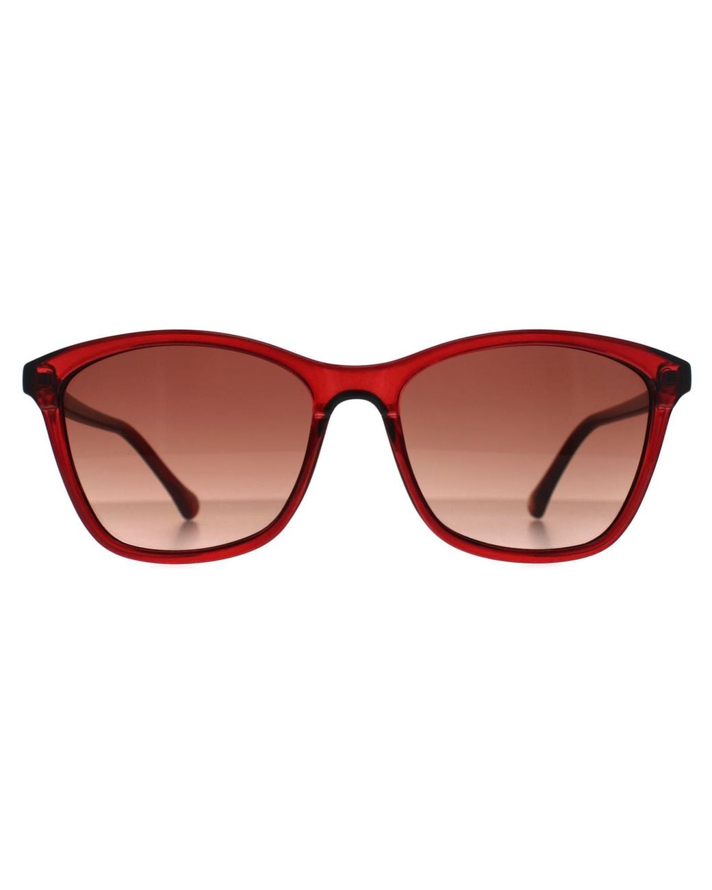 Ted Baker Brown Square Burgundy Tb1440 Tari