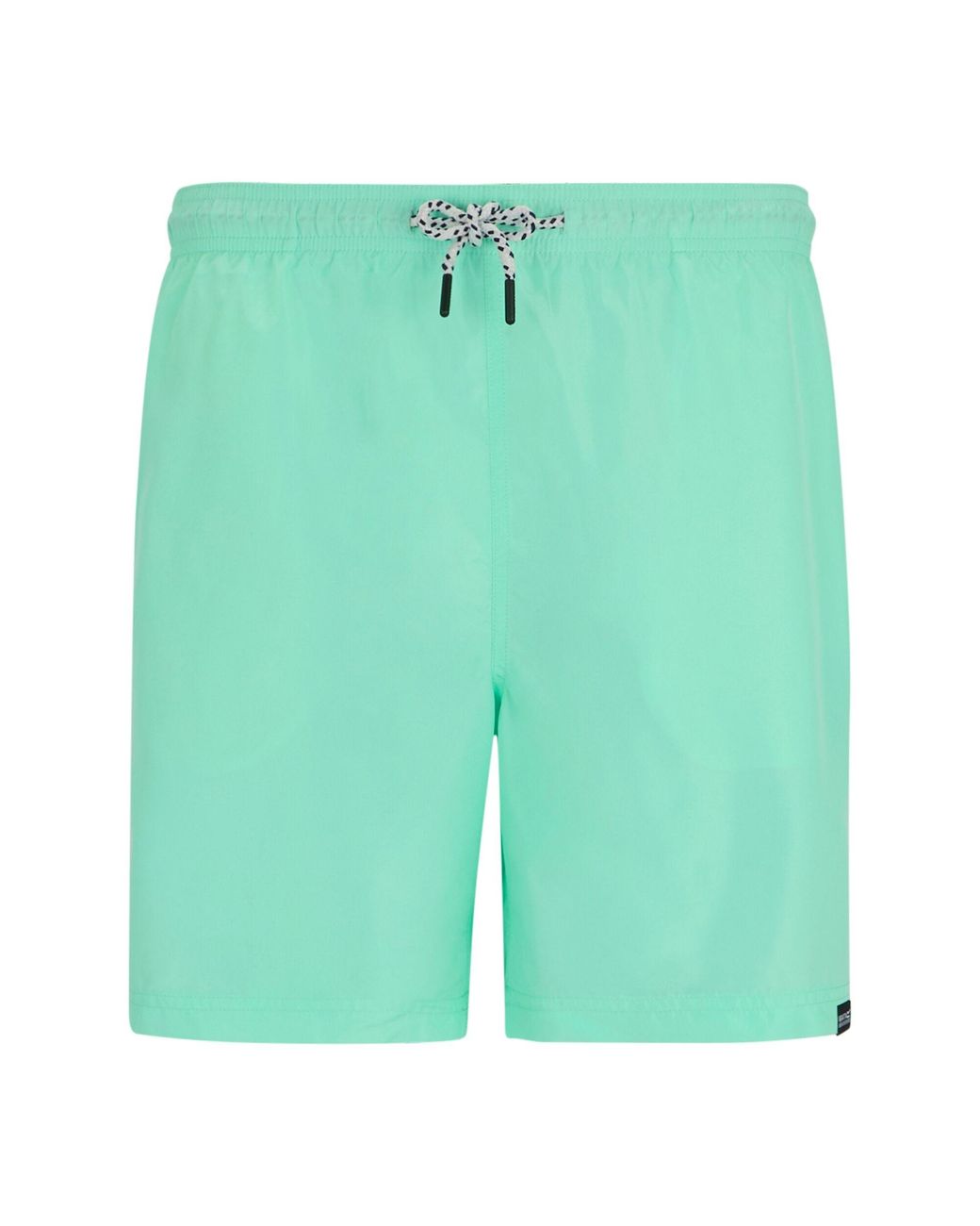 Regatta Green Mackleyna Swim Shorts (Ice) for men