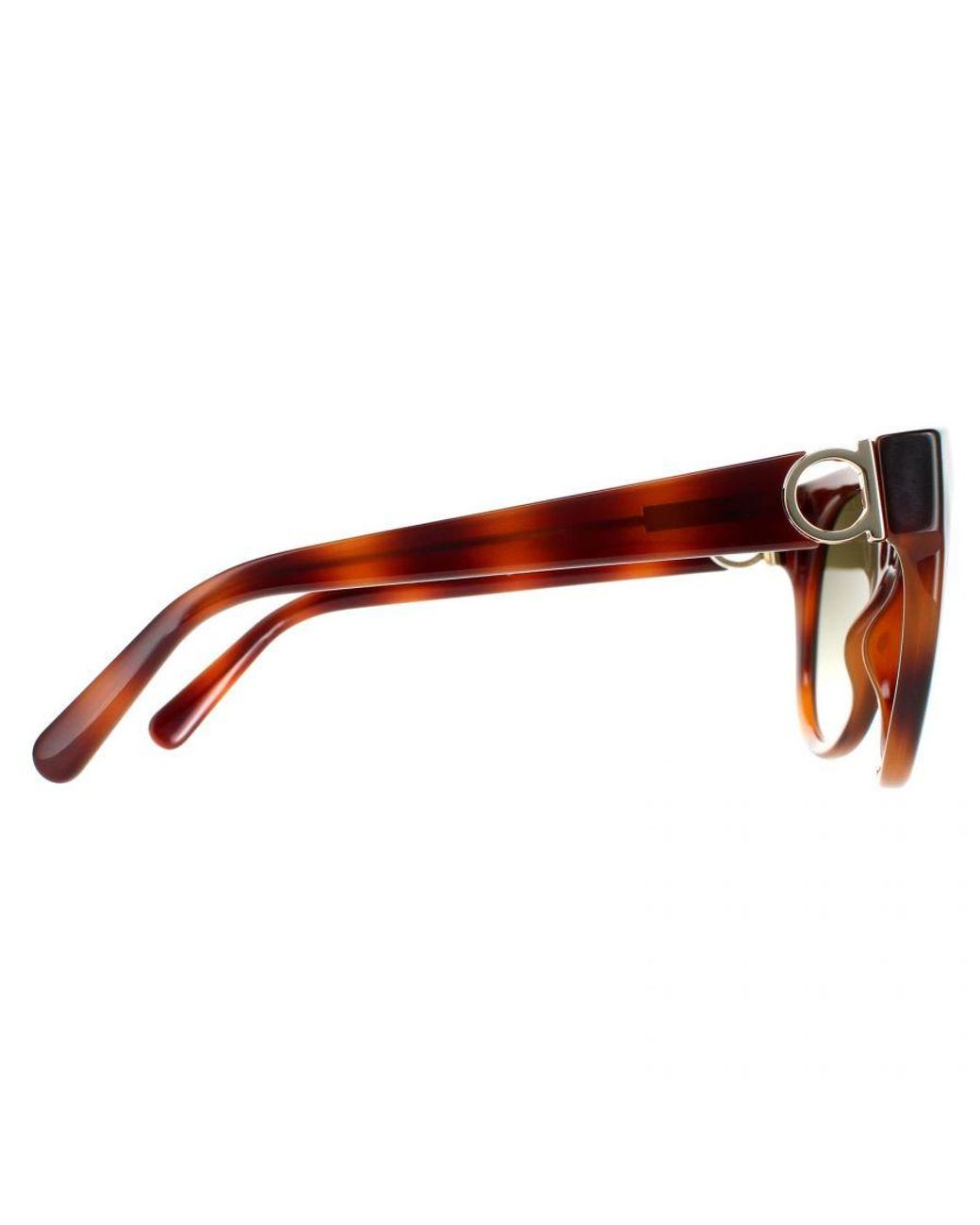 Ferragamo Brown Cat Eye Tortoise Sf1031S