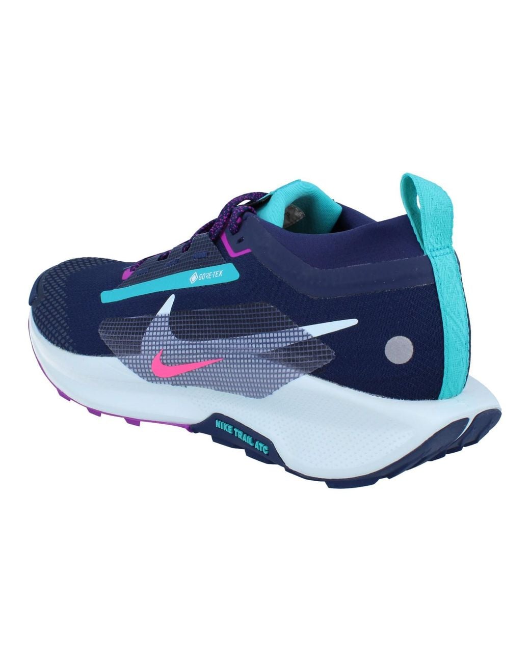 Nike Blue Pegasus Trail 5 Gtx Trainers for men