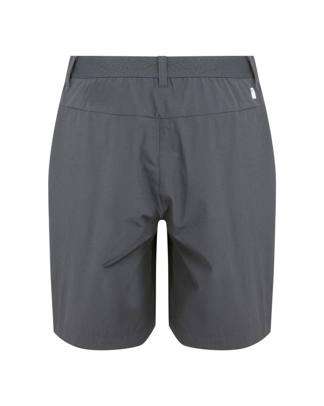 Regatta Gray Ladies Mountain Ii Shorts (Seal)