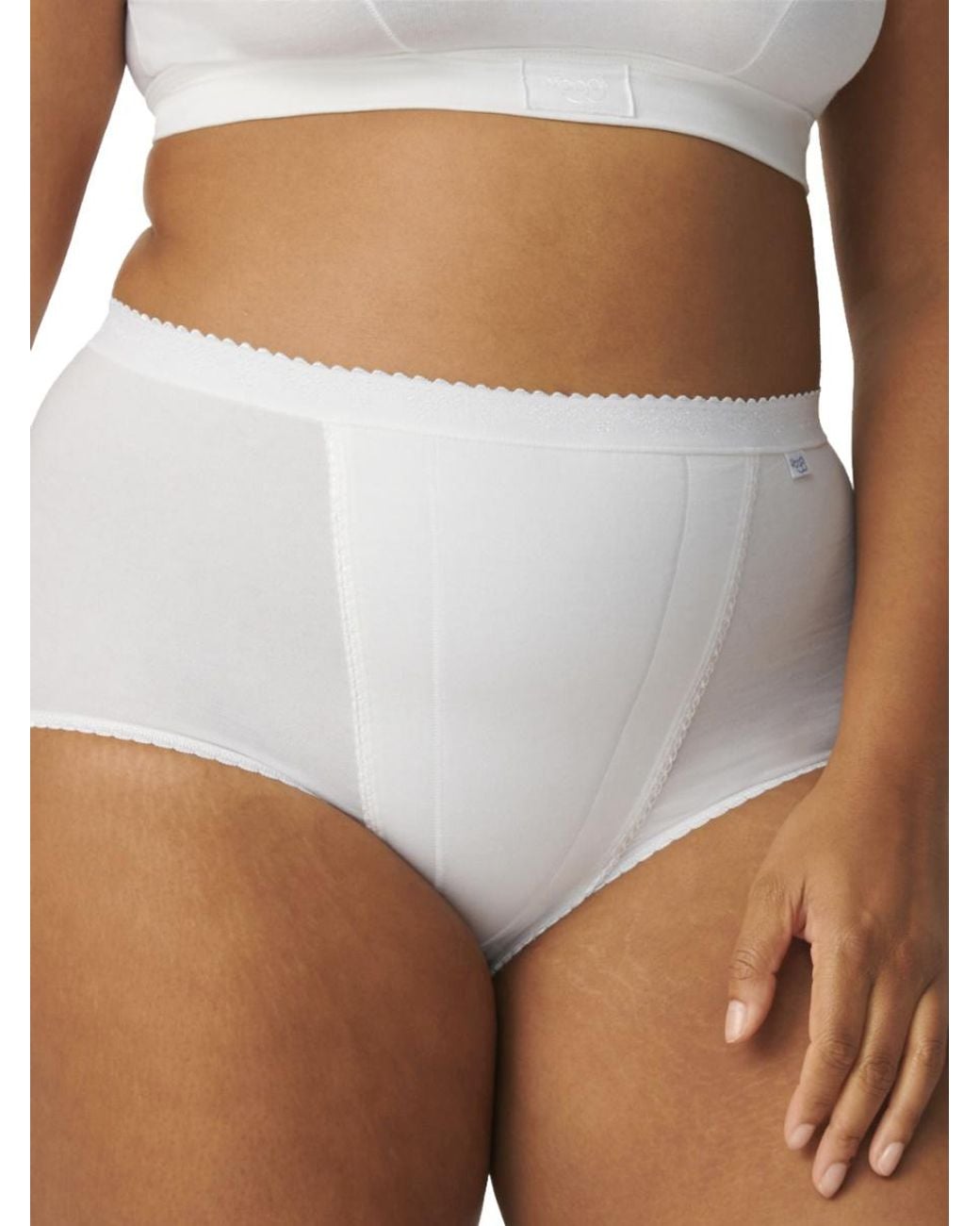 Sloggi Brown Control Maxi Briefs