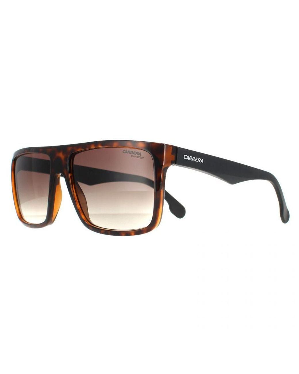Carrera Brown Rectangle Havana Matte Gradient 5039/S