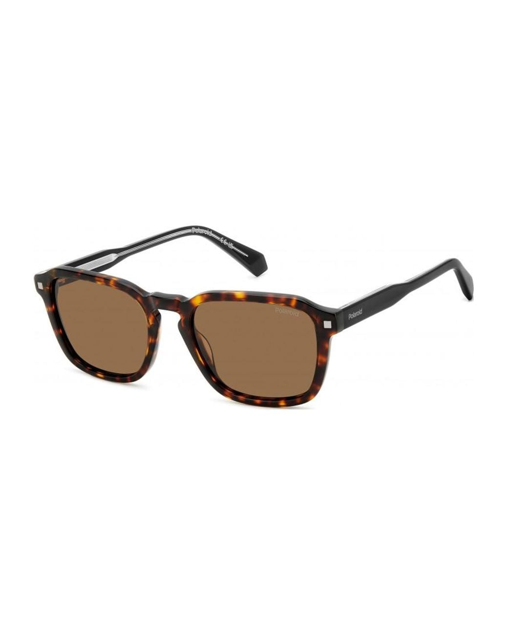 Polaroid Brown Pld 4156 53 086 Sunglasses