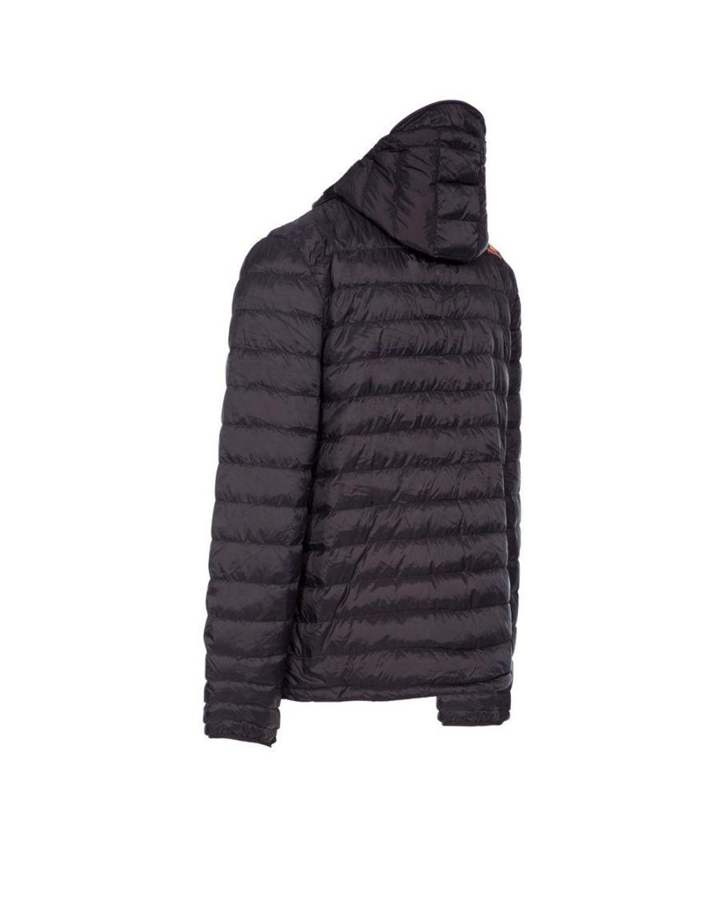 Trespass Blue Digby Down Jacket for men