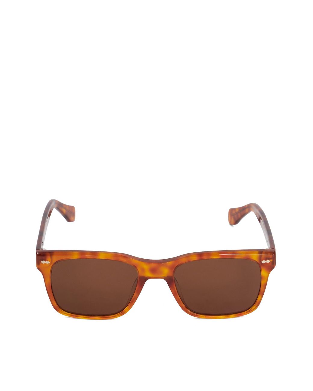 Dune Brown Pedro Acetate Sunglasses for men