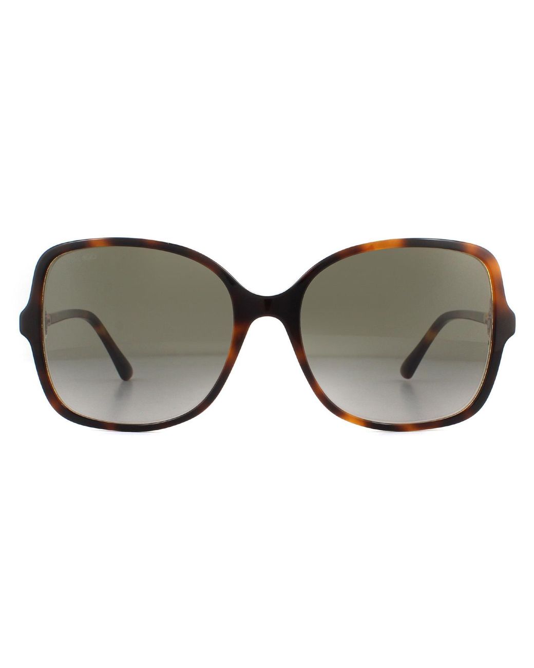 Jimmy Choo Brown Sunglasses Judy/S 0T4 Ha Havana Gradient