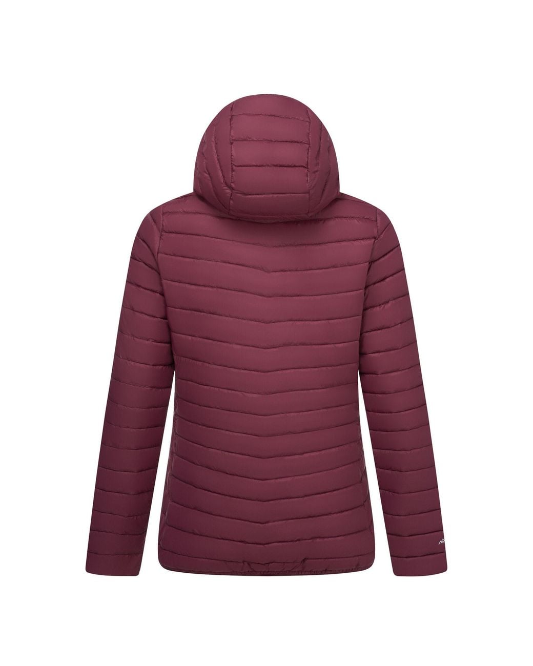 Regatta Purple Ladies Lighthouse Lightweight Padded Jacket (Fig)