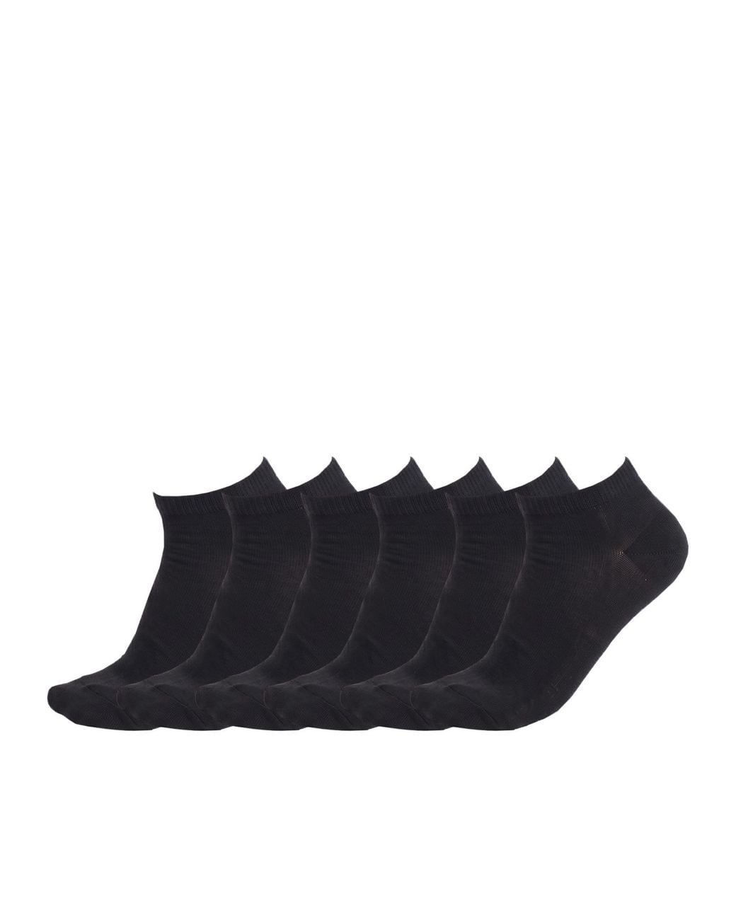 Pro Socks Blue 6 Pairs Cotton Low-Cut S20506