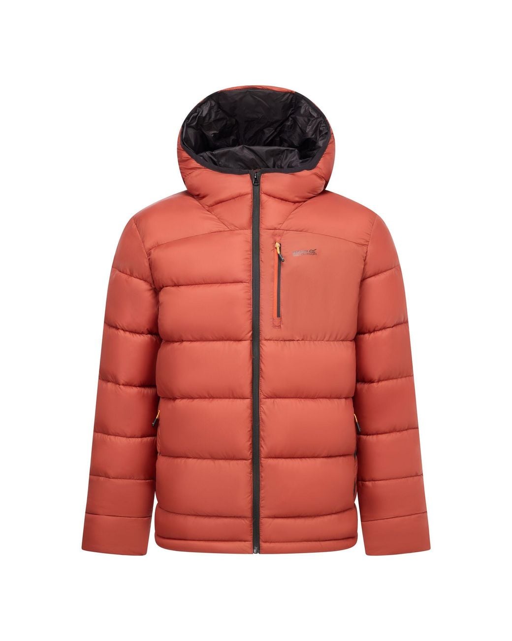 Regatta Red Munaro Padded Jacket (Burnt Henna) for men
