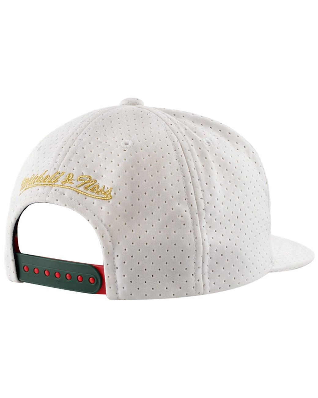 Mitchell & Ness Metallic Nba Toronto Raptors Ace Cap