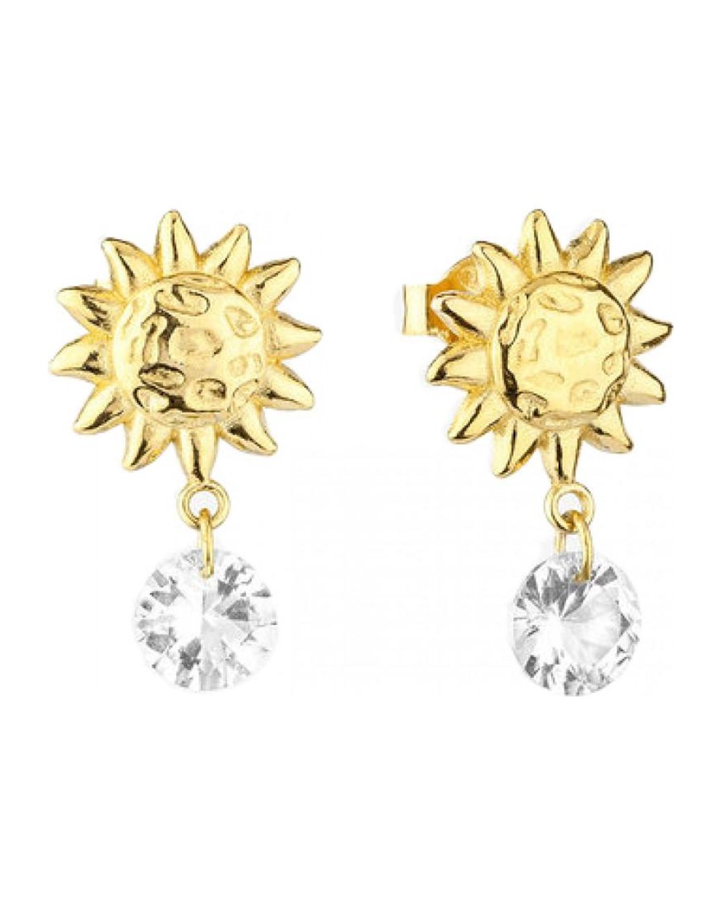 Radiant Metallic Ry000154 Ladies Earrings