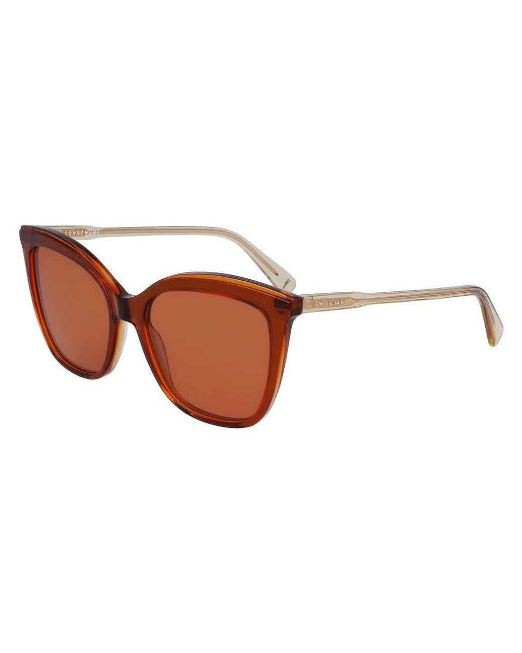 Longchamp Brown Acetate Sunglasses