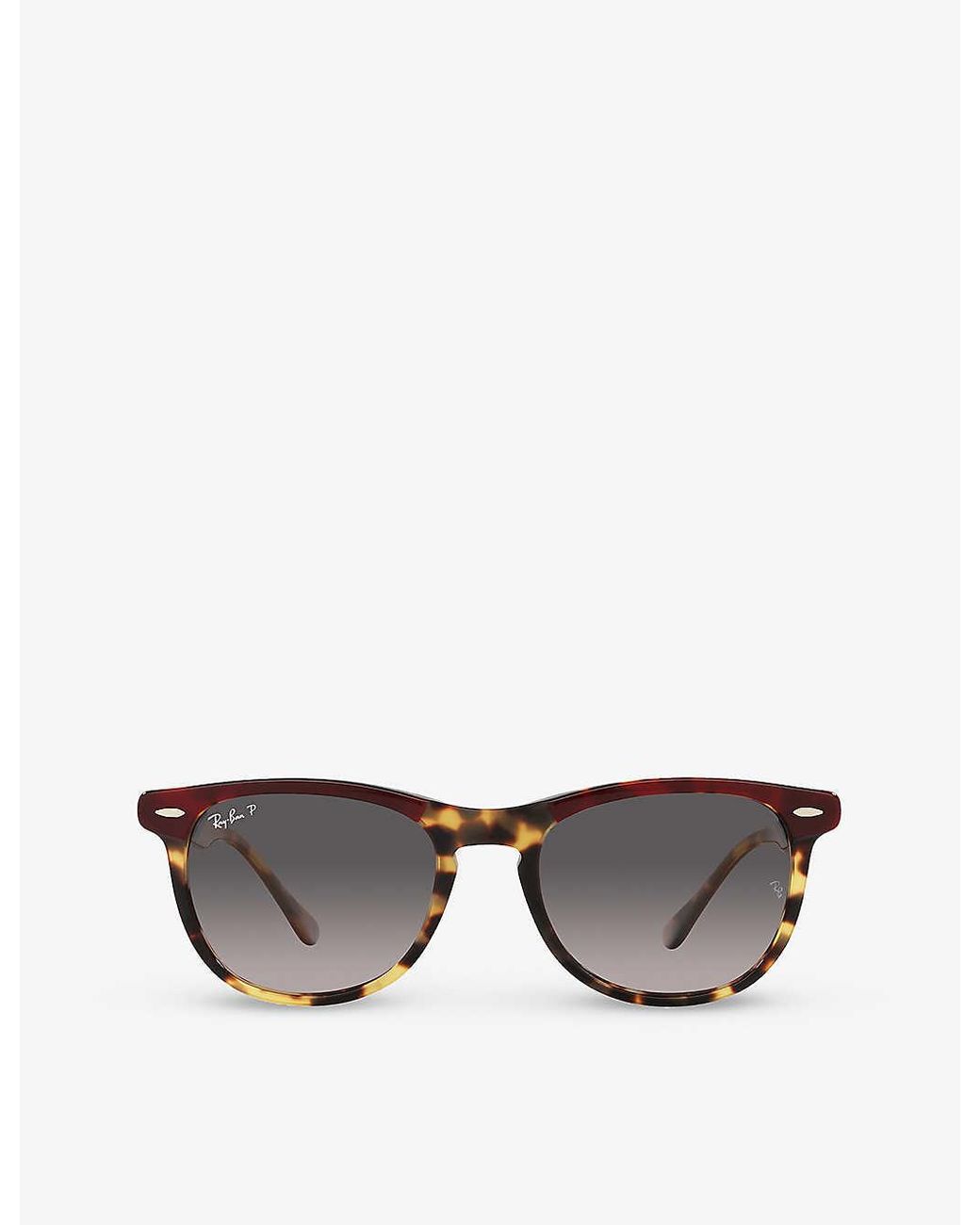 RayBan Rb2398 Eagle Eye Tortoiseshell Acetate Sunglasses in Gray Lyst
