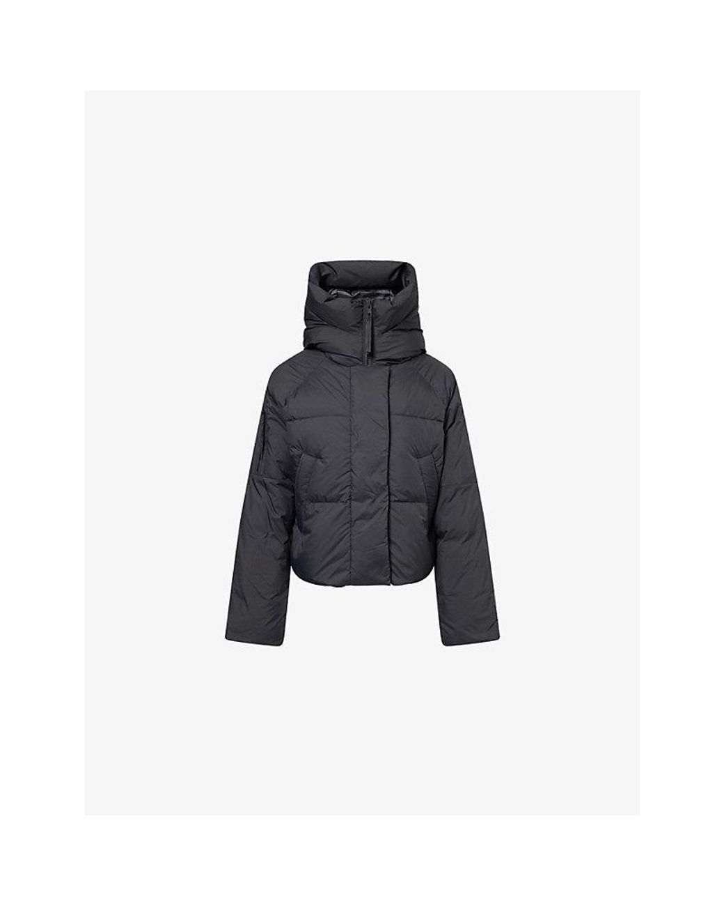 Canada Goose Blue Canada Goose Womens Black