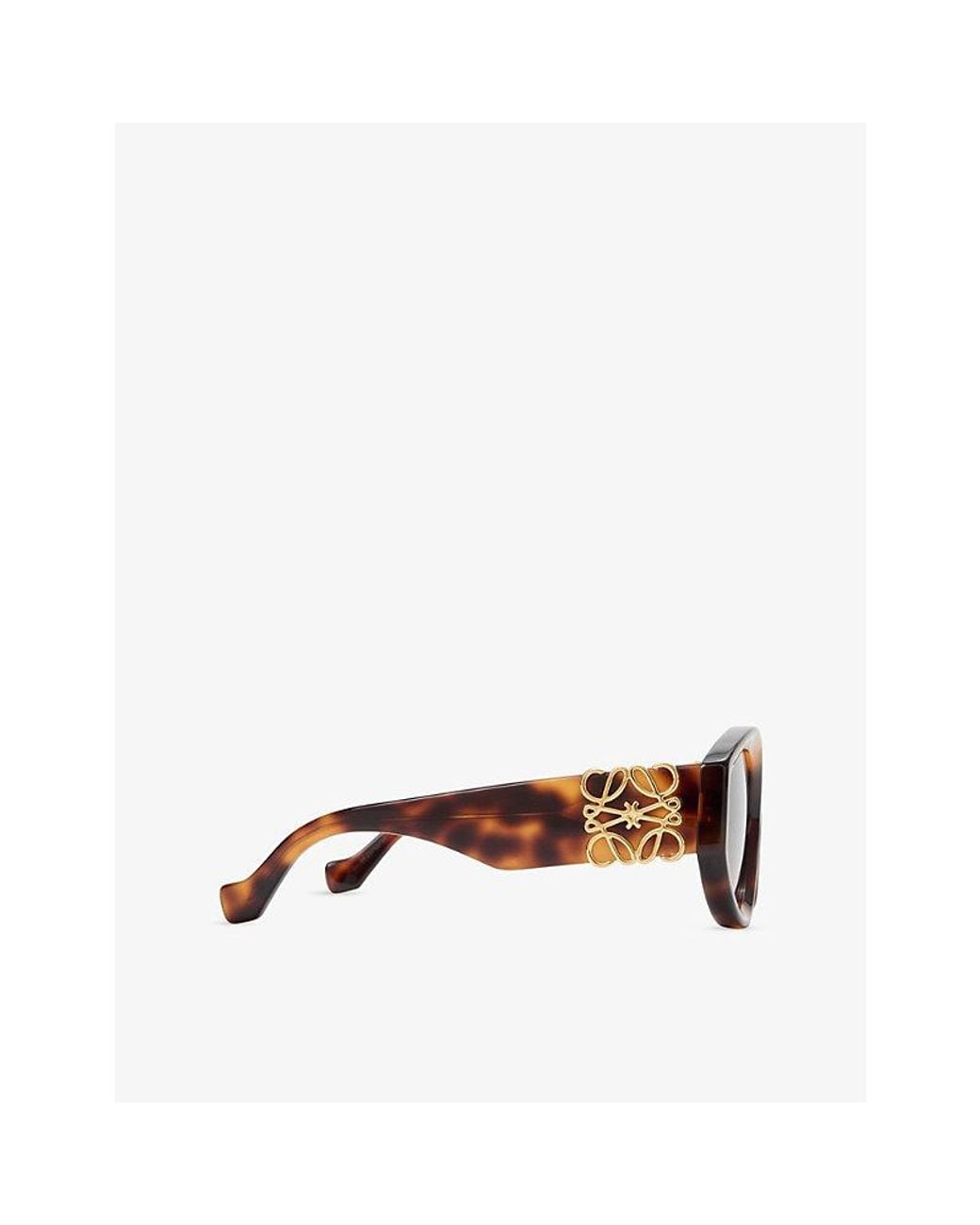 Loewe Brown Butterfly-Frame Acetate Sunglasses