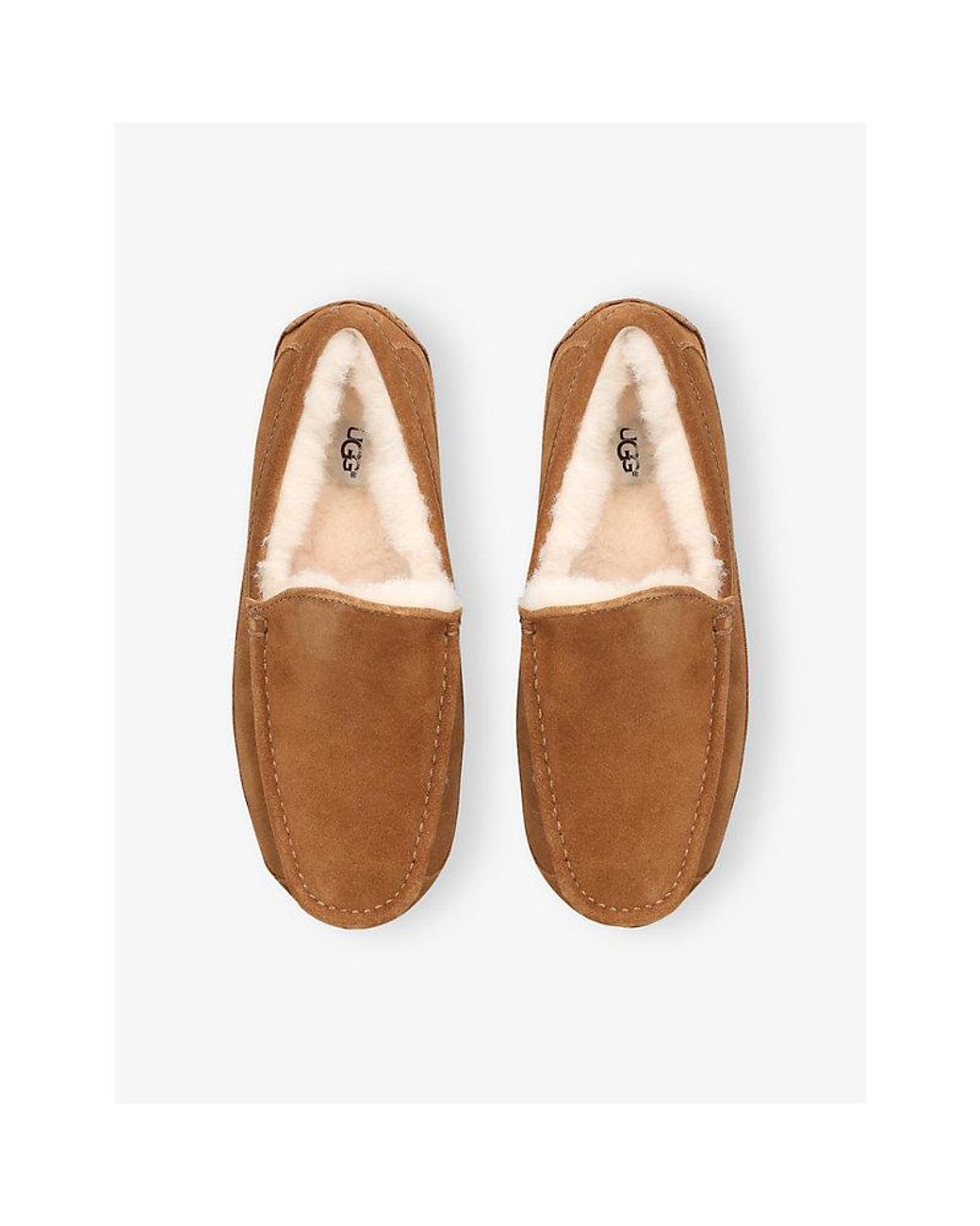 Ugg Brown Ascot Suede Loafers for men