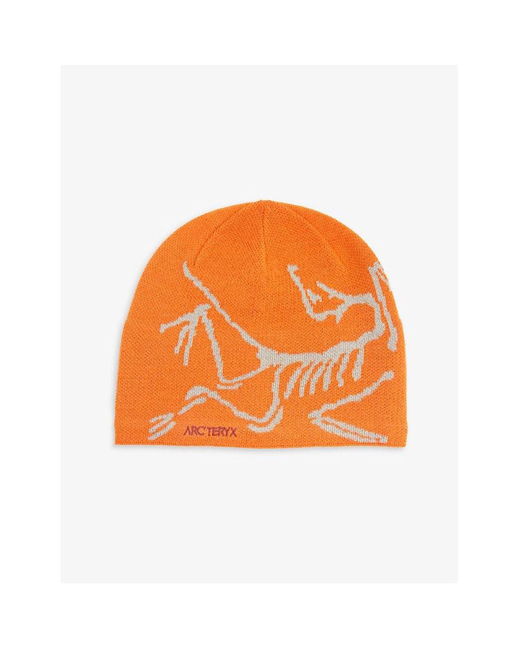 arcteryx-Phenom-Habitat-Bird-