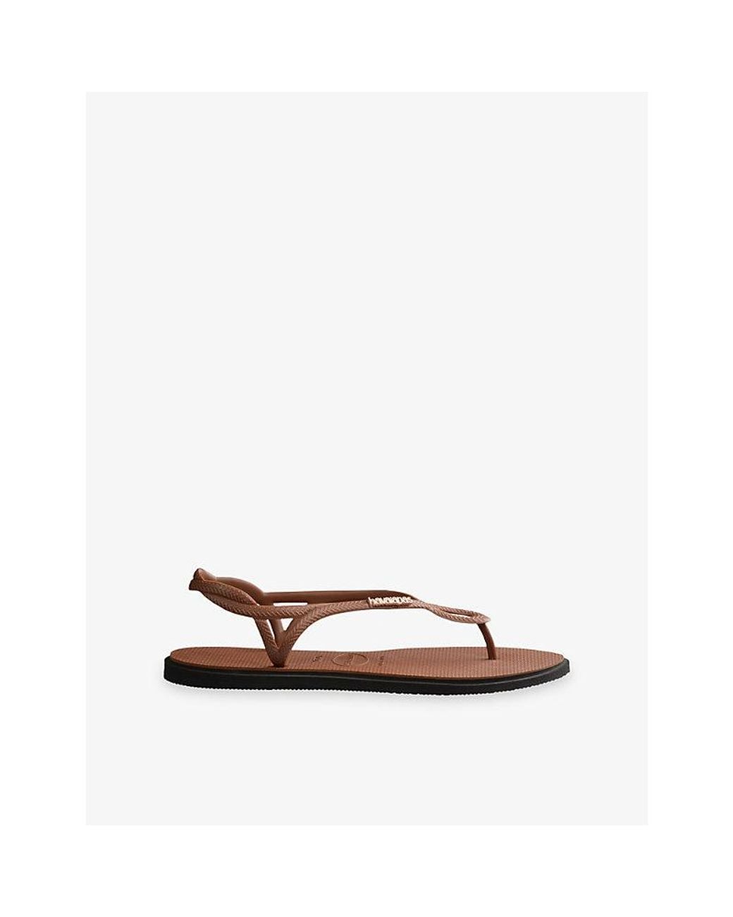 Havaianas Brown Luna Point Rubber Flip Flops
