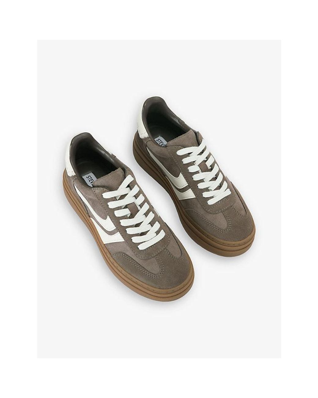 Steve Madden Brown Dodge Suede Trainers