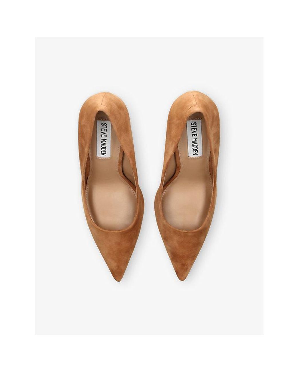 Steve Madden Brown Thrive Suede Courts