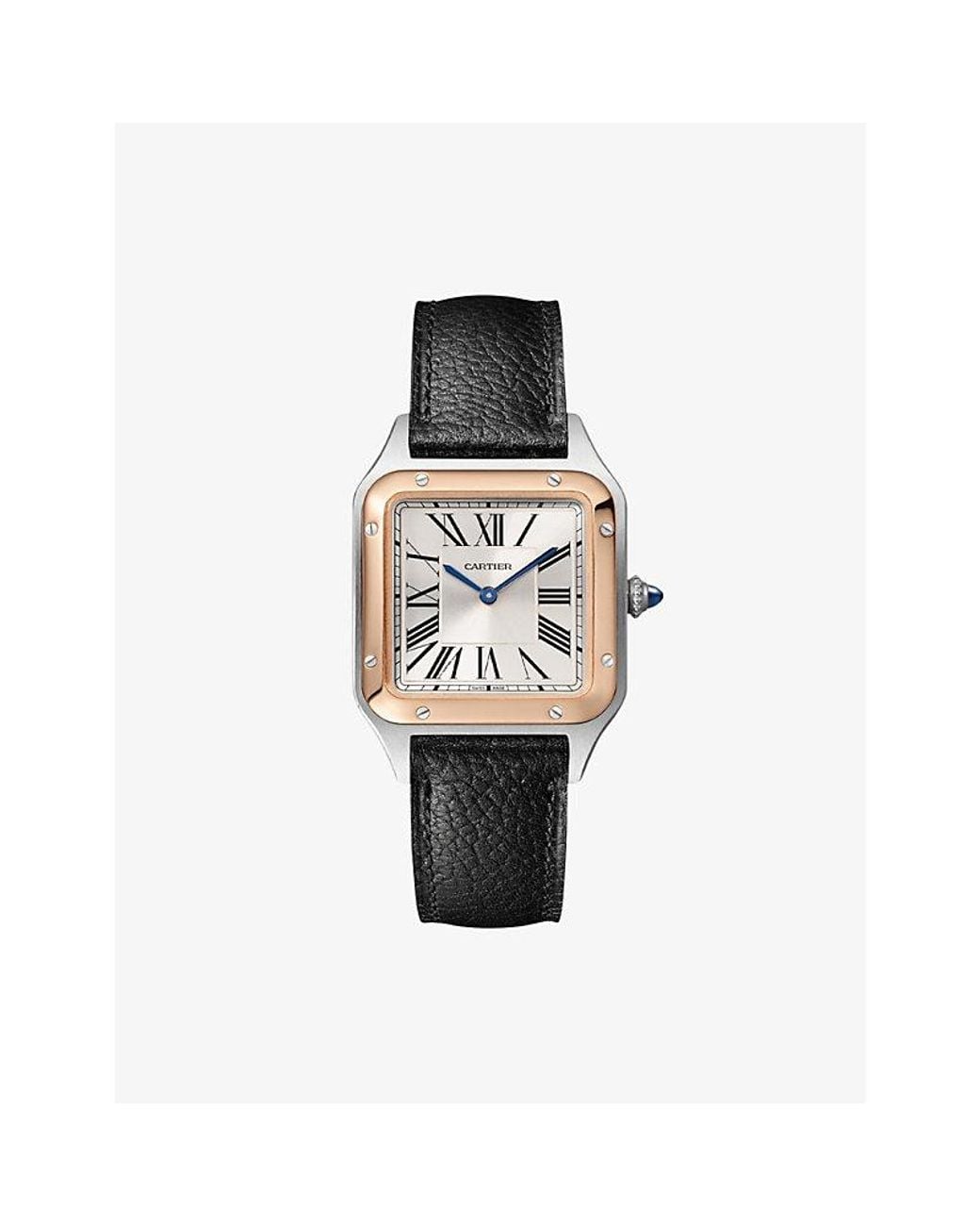 Cartier Multicolor Crw2Sa0020 Santos Dumont Small 18Ct Rose- And Leather Quartz Watch for men