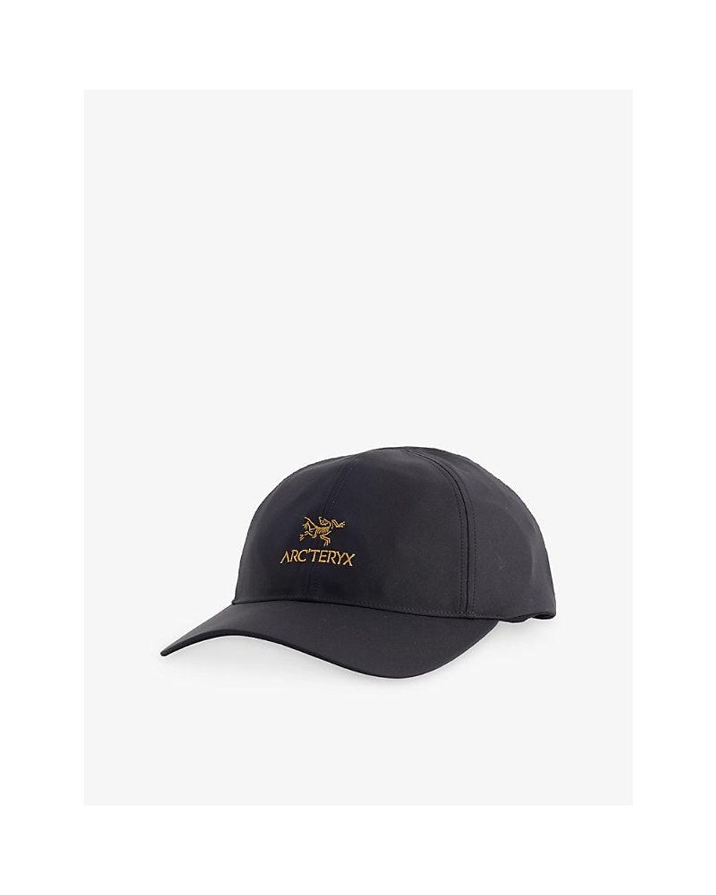 Arc'teryx Blue Bird Word Woven Cap for men