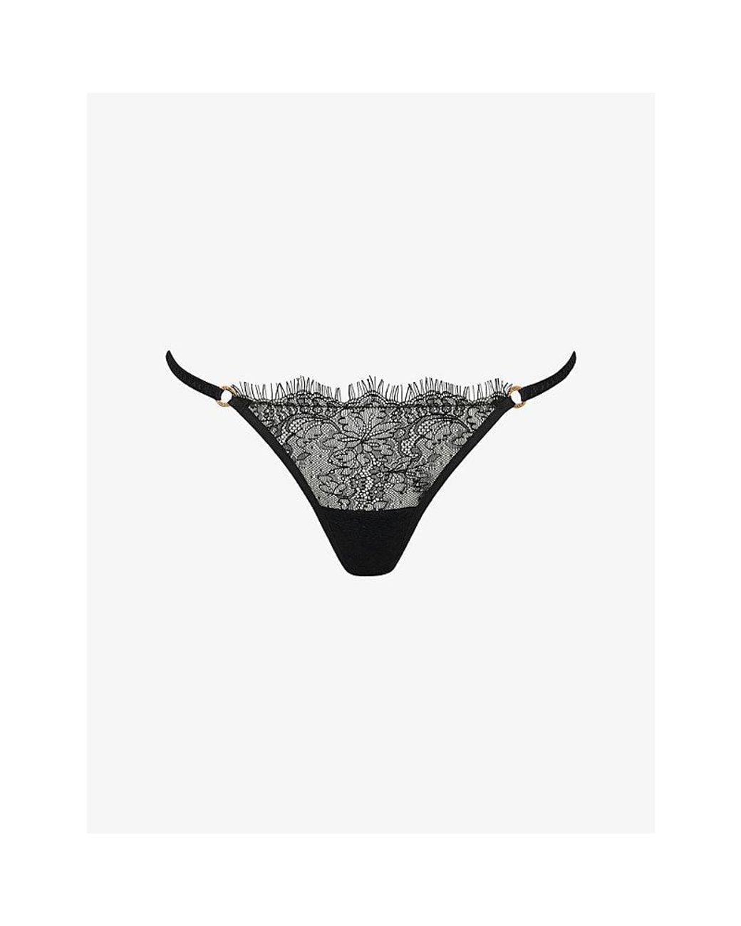 Bluebella Gray Camelia Lace Briefs