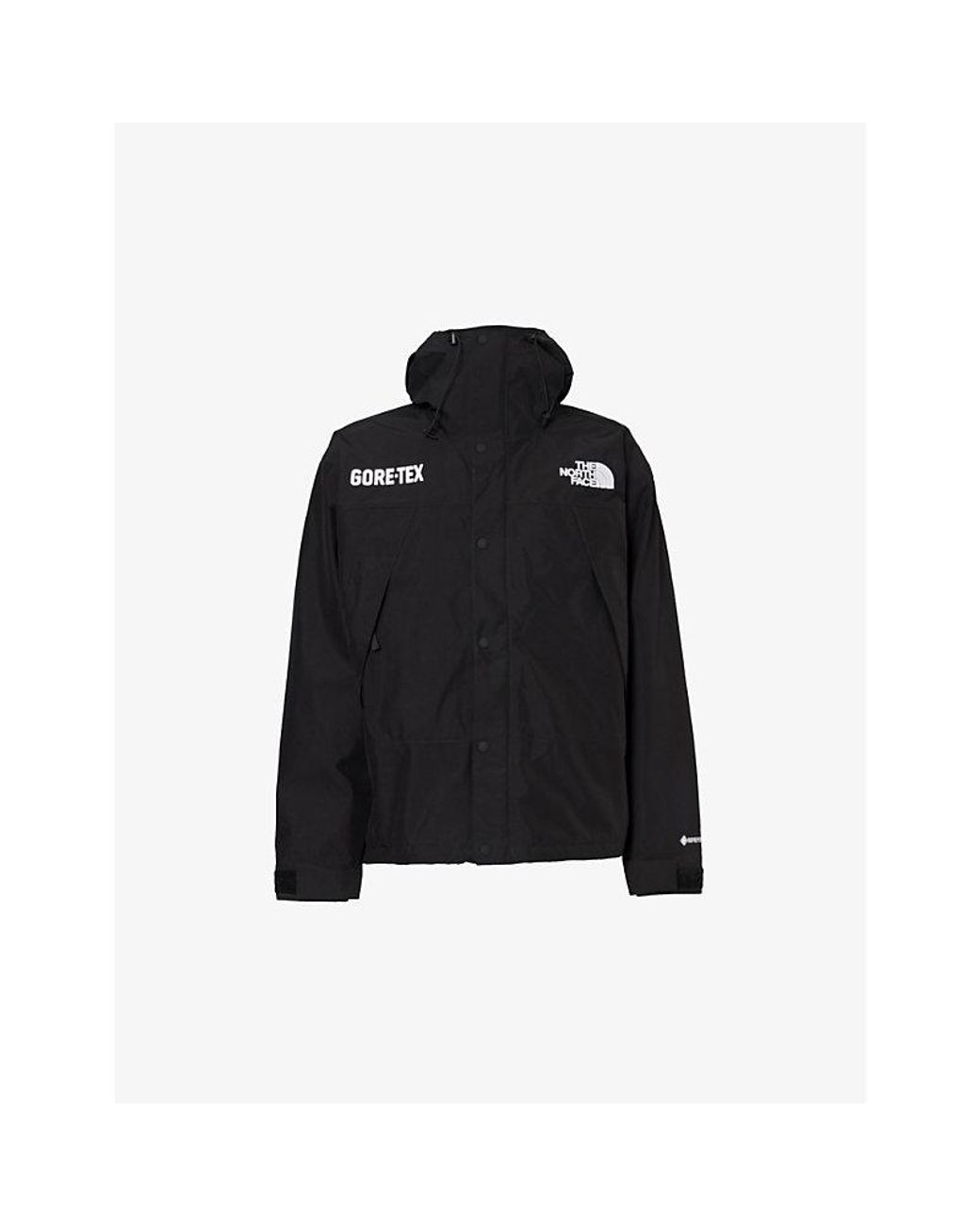 The North Face Gore-Tex Mountain Guide Insulated Jacket in The North Face Gore-Tex Mountain Guide Insulated Jacket in