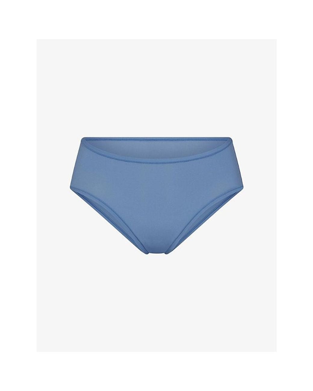 Skims Blue Fits Everybody Cheeky Briefs