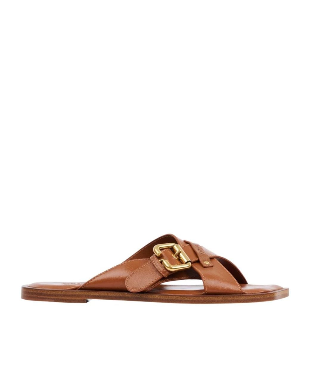 Chloé Brown Nil Slide