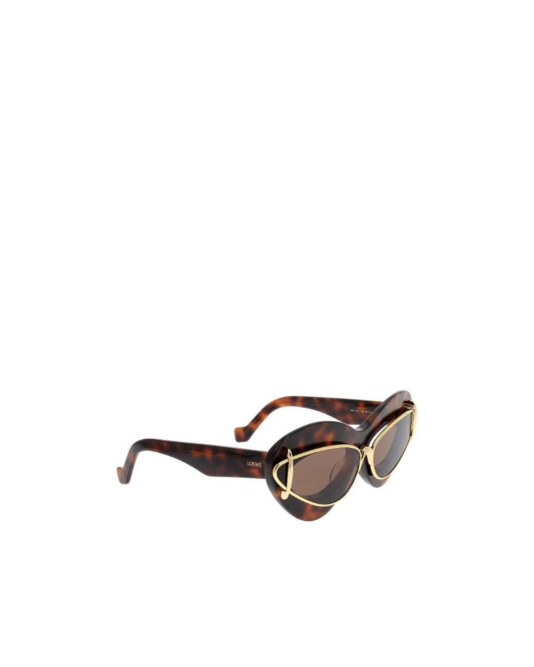 Loewe Multicolor Cat-Eye Frame Sunglasses