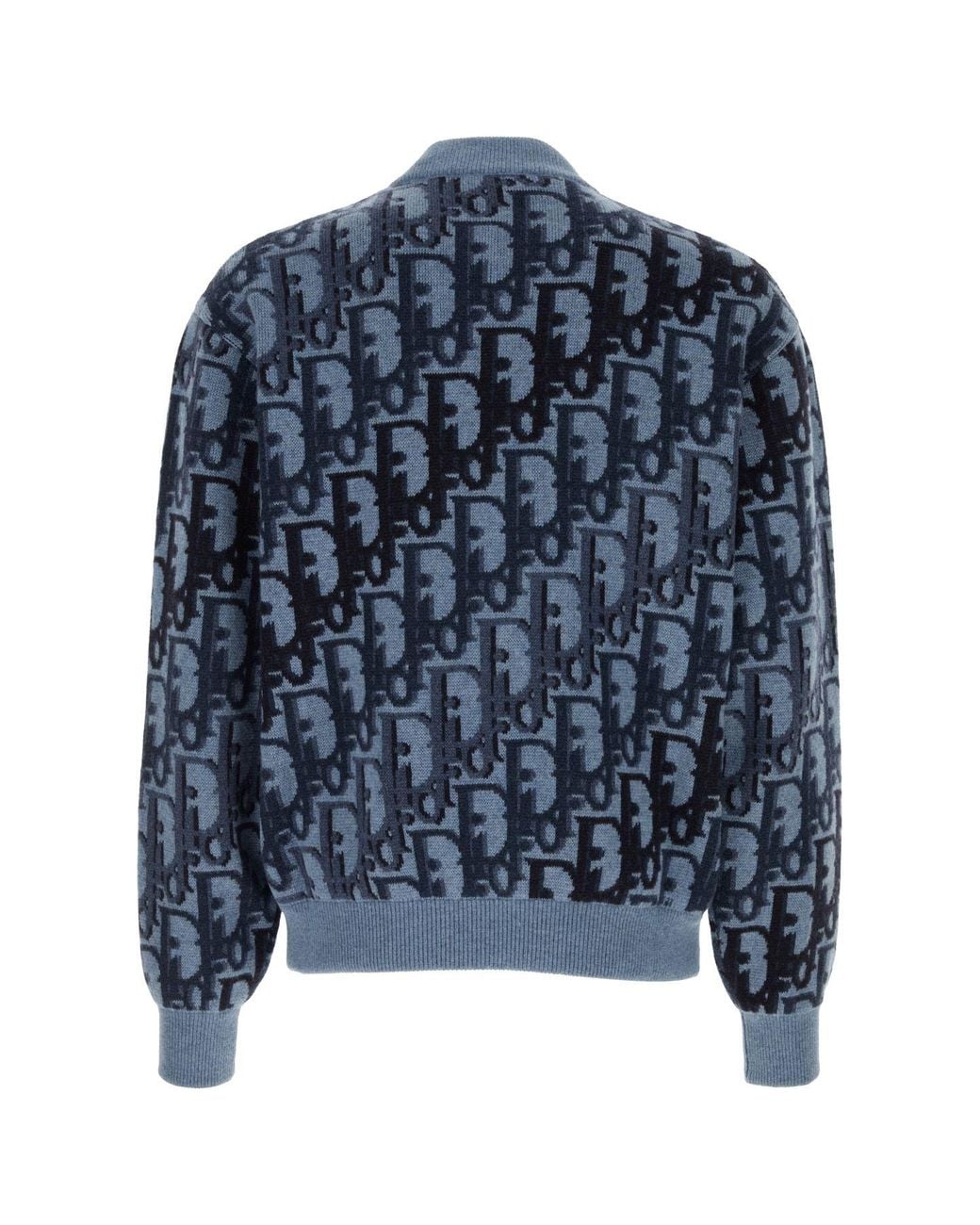Dior Blue Oblique Blouson Jacket for men