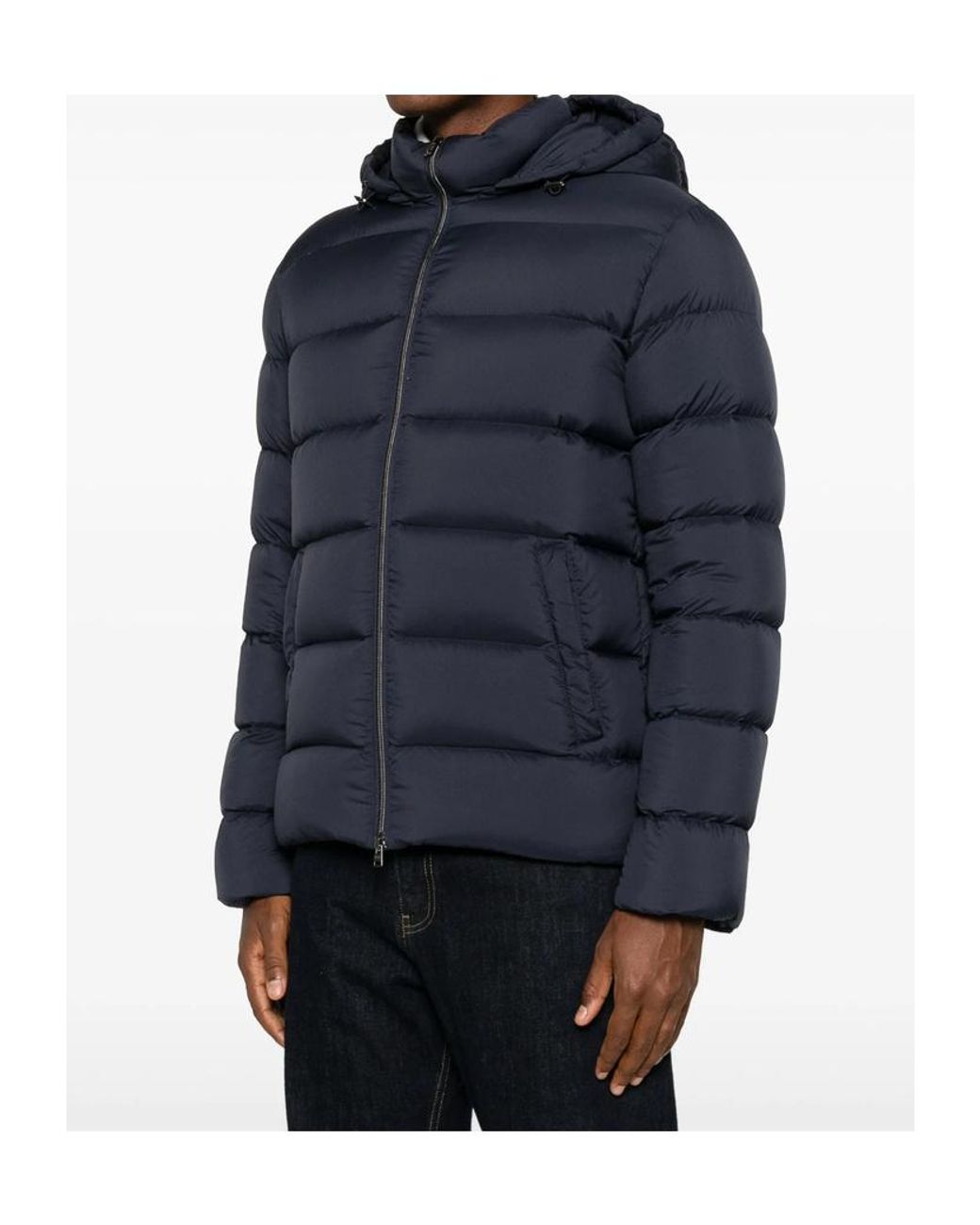 Herno Blue Quilted Hooded Jacket for men