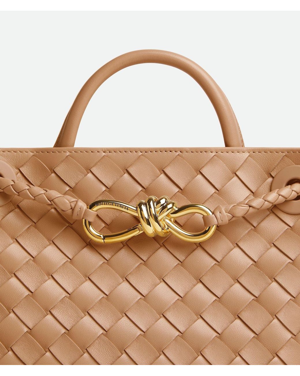 Bottega Veneta Brown Small Andiamo