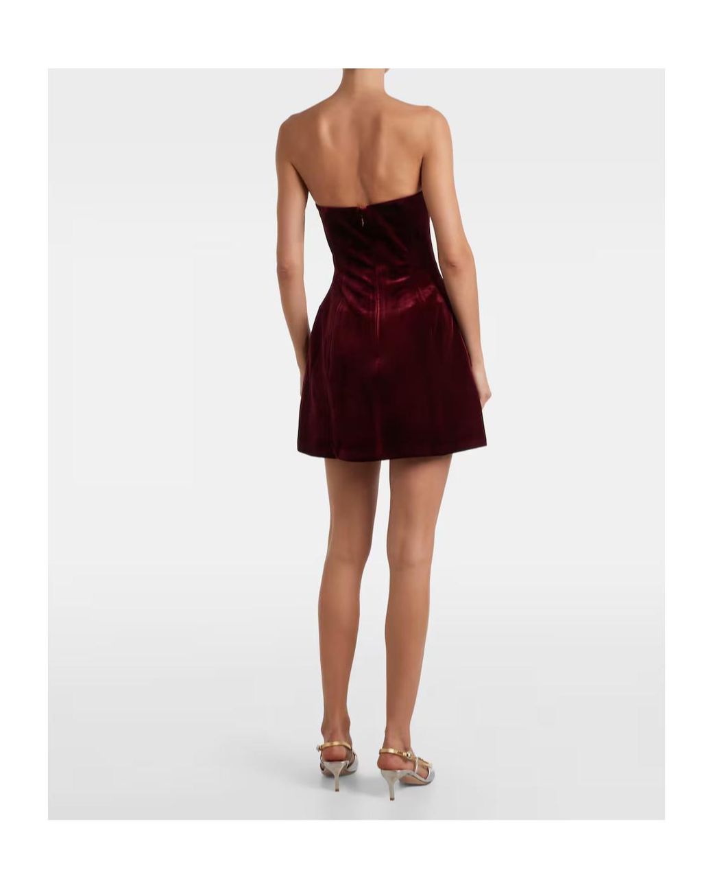 Leo Red Rosario Floral-Appliqué Velvet Minidress