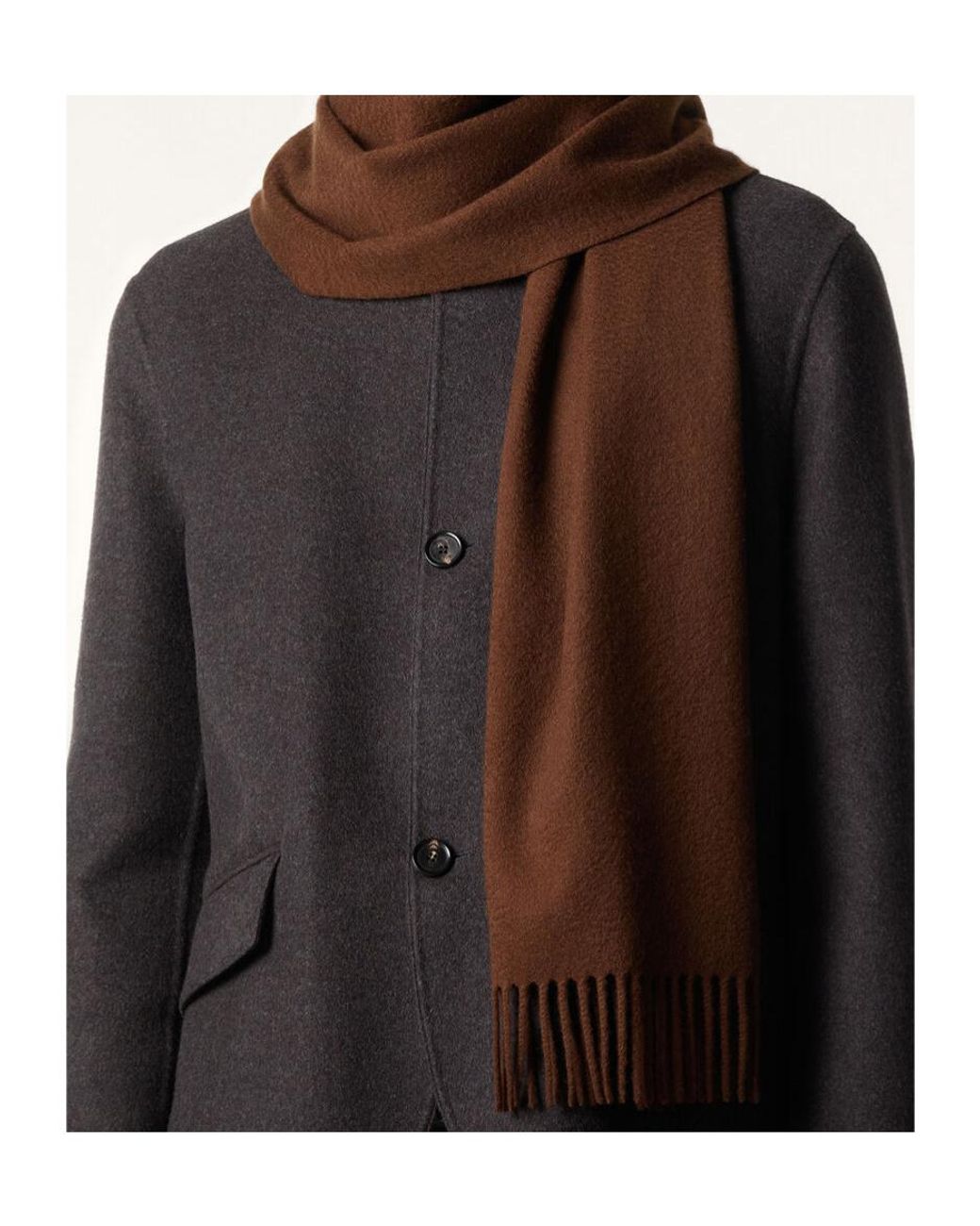 Loro Piana Brown Grande Unita Scarf for men