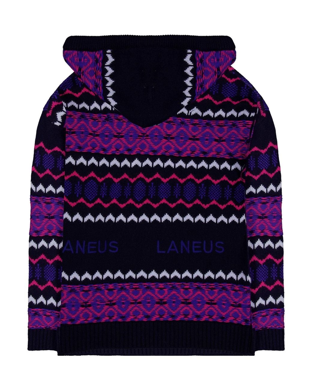 Laneus Purple Hooded Sweater for men