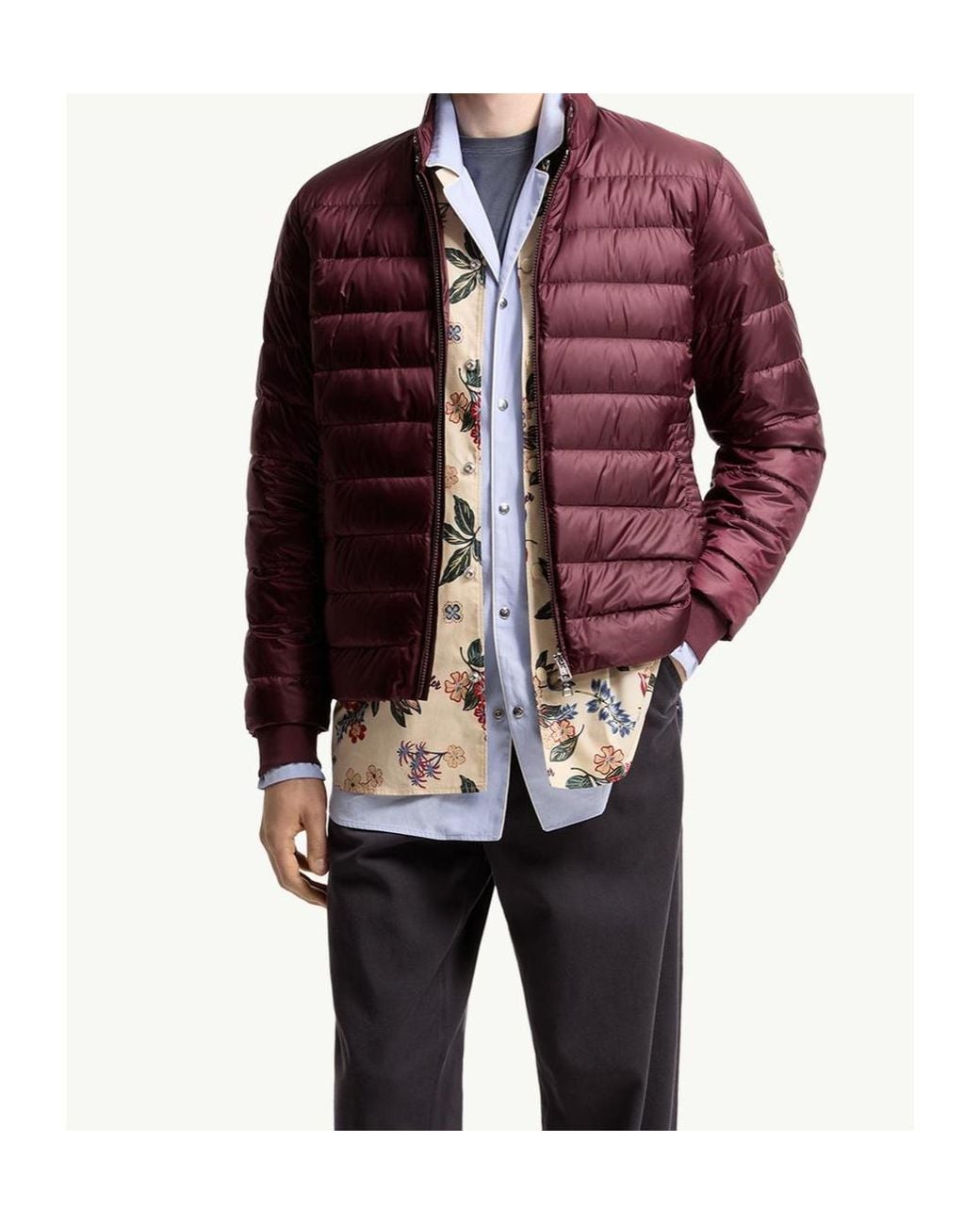 Moncler Red Rigel Short Padded Jacket for men