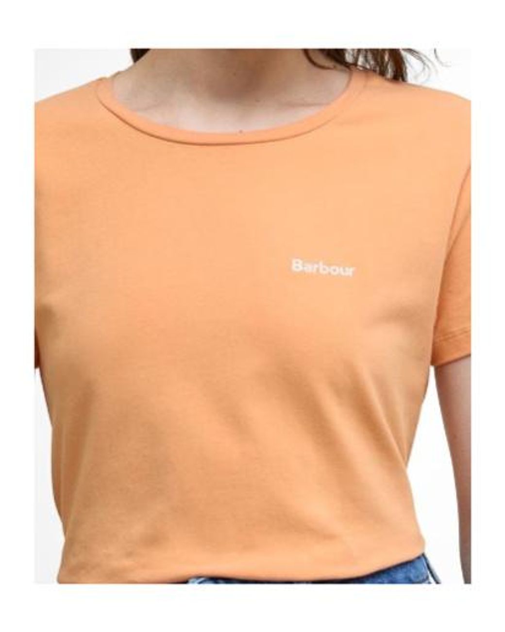 Barbour Natural Saltford Logo T-Shirt