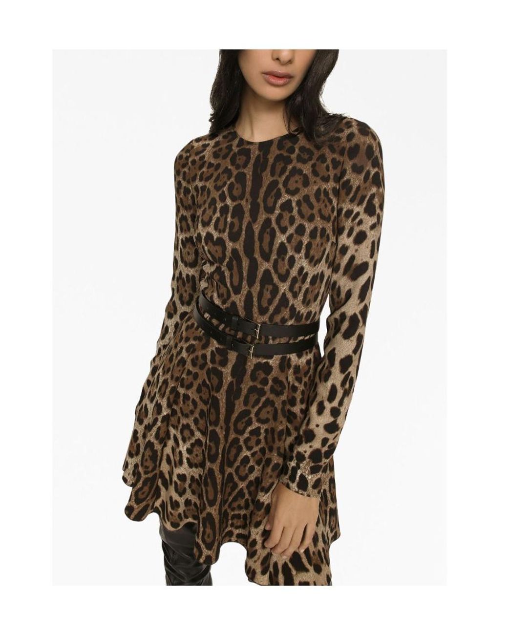 Dolce & Gabbana Brown Leopard-Print Mini Dress