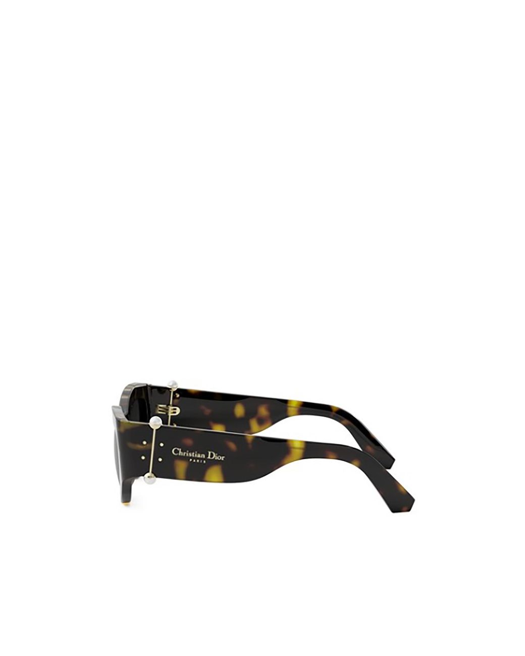 Dior Multicolor Eyewear Cat-Eye Frame Sunglasses