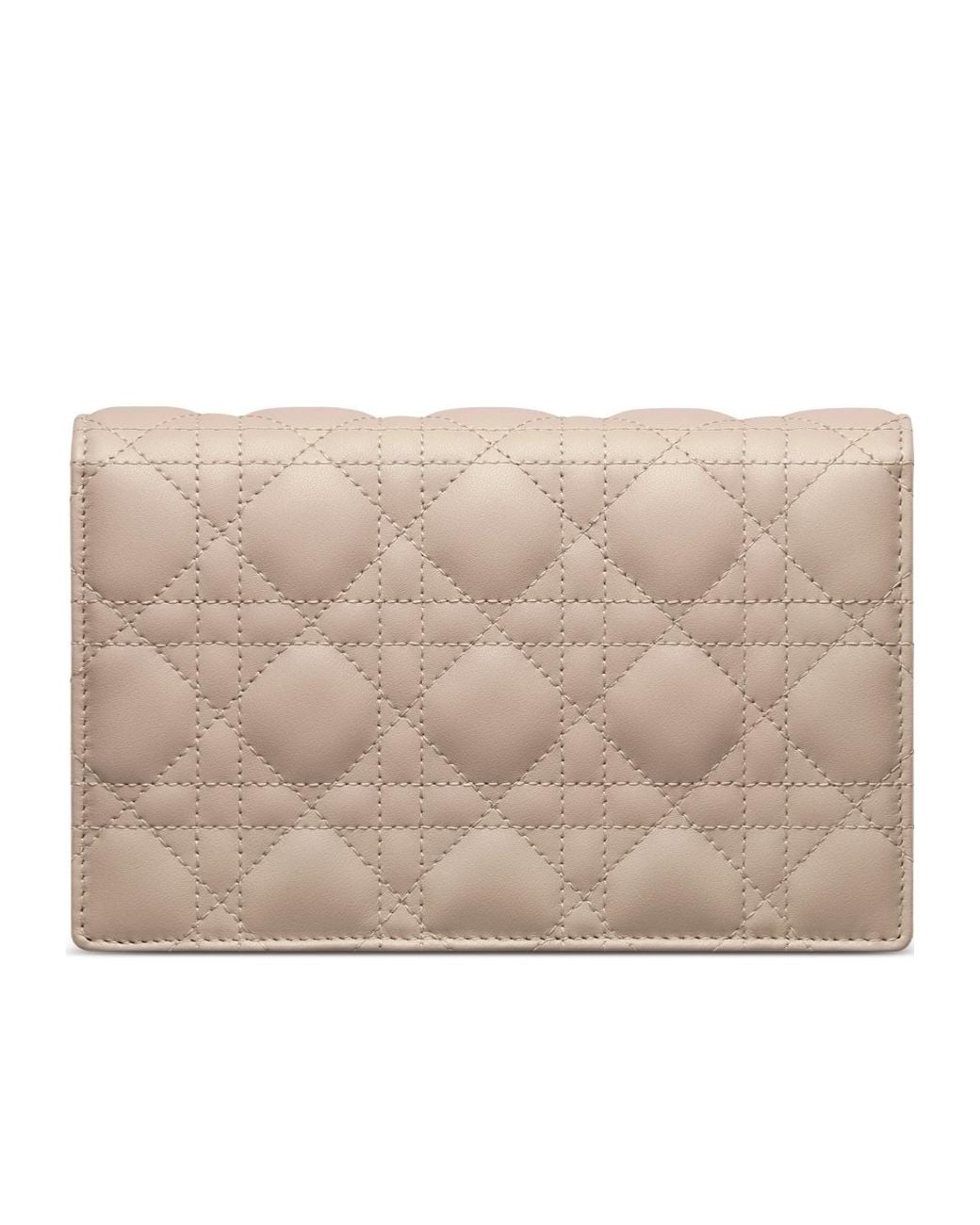 Dior Natural My Daily Pouch With Chain