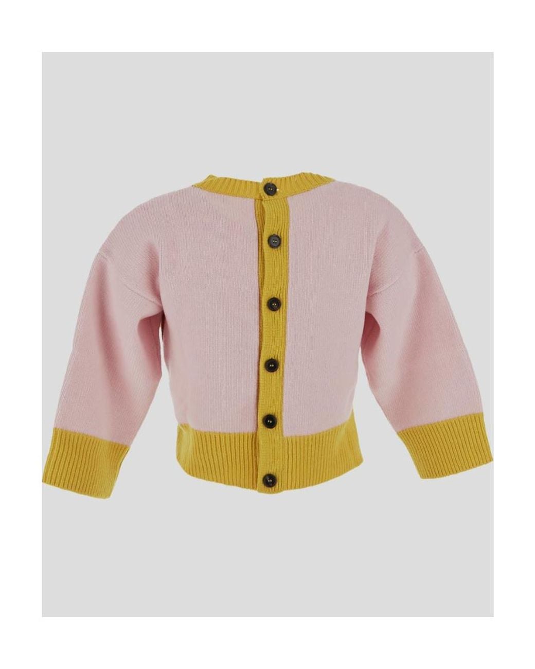 Marni Multicolor Logo-Intarsia Cropped Jumper